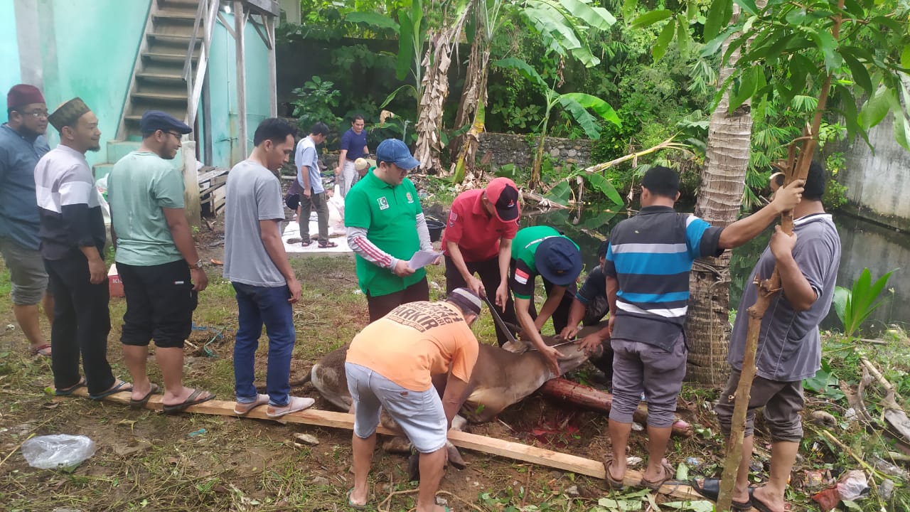 Kurban Perdana Sukses, MW KAHMI Bengkulu Berencana Jadikan Program Tahunan