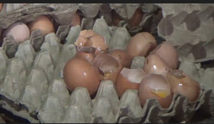 Harga Telur Ayam Mahal, Warga Beralih Beli Telur Retak dan Pecah