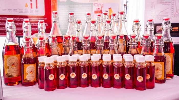 Minyak Makan Merah Pengganti Mintak Goreng Akan Dijual Pemerintah Januari 2023