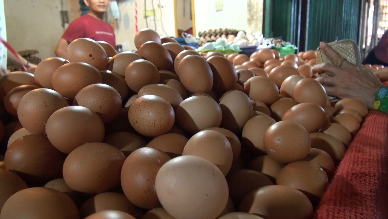 Buset! Harga Telur Ayam Ras Meroket, Kini Rp 54 Ribu Perkarpet