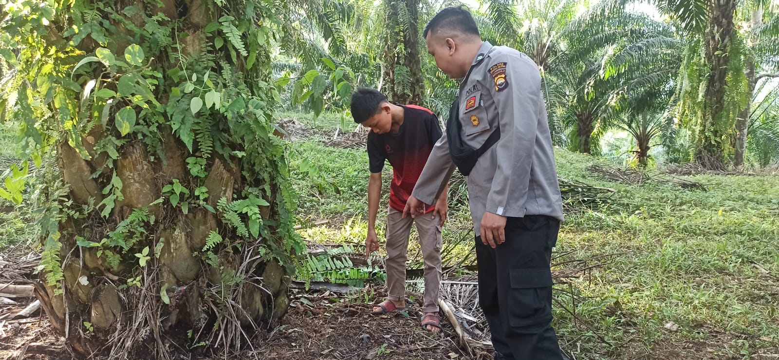 Lokasi Kejadian