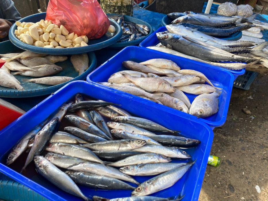 Harga Ikan Naik, Penjualan Menurun