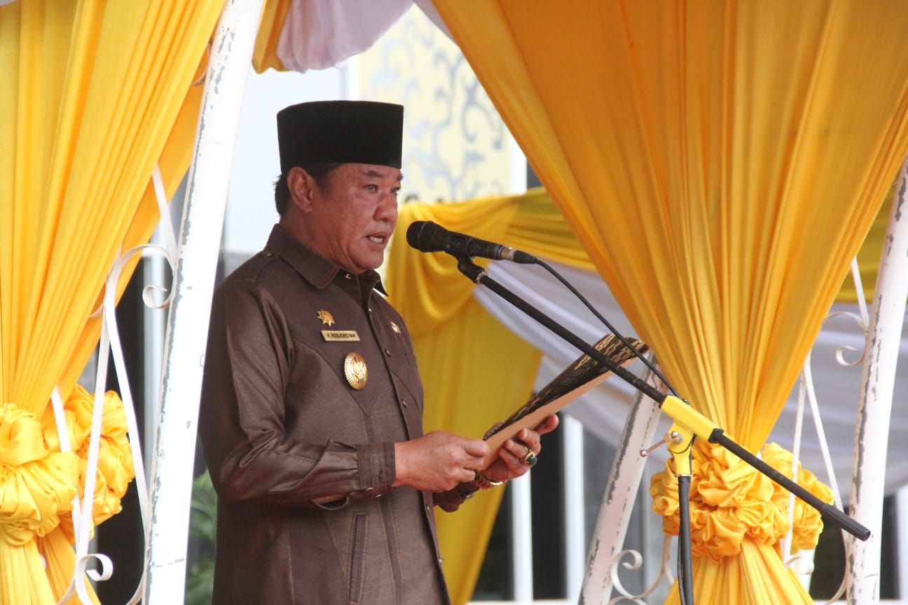 Wakil Gubernur Rosjonsyah