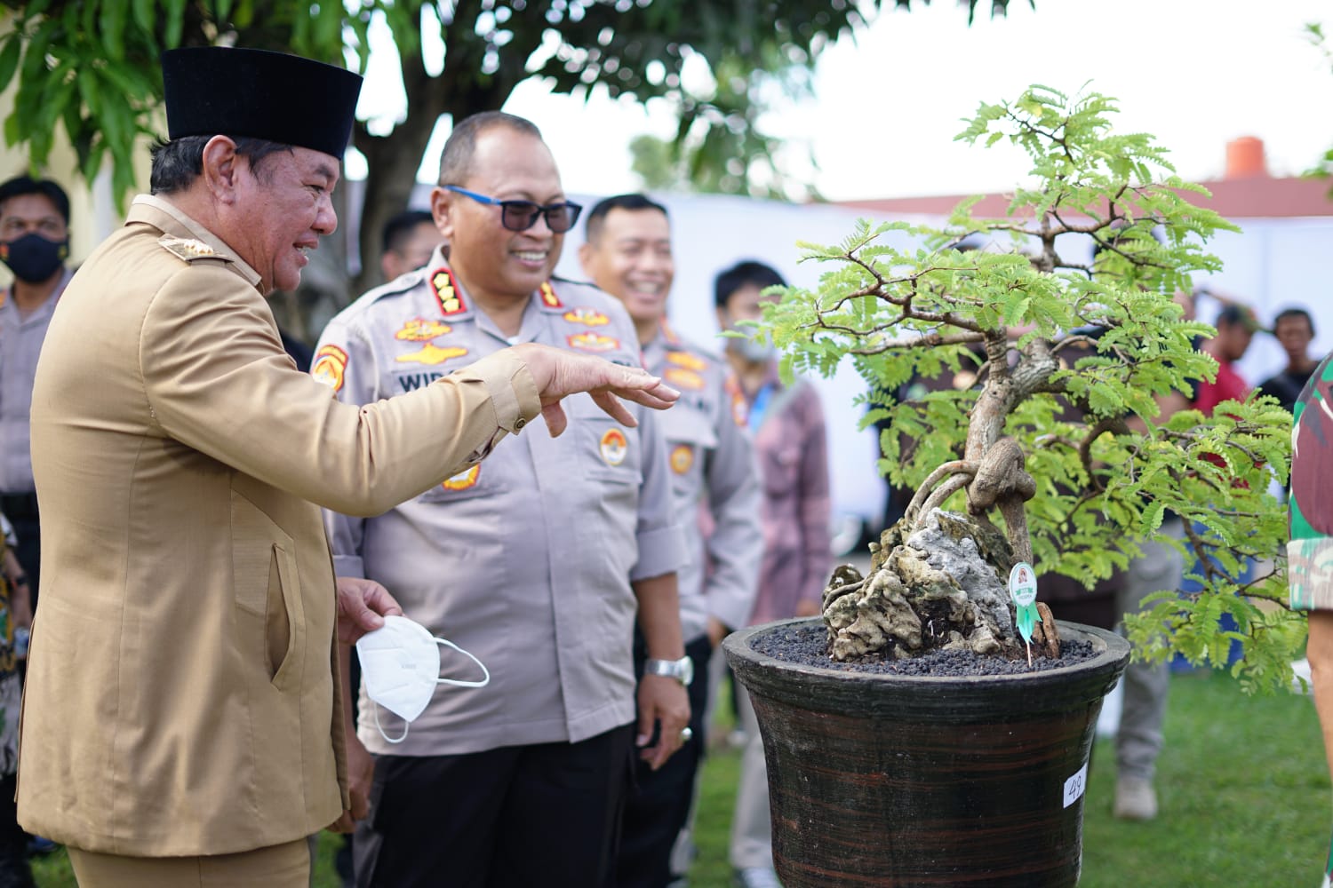 Rosjonsyah Sebut Bonsai Punya Peluang Ekonomi Menjanjikan