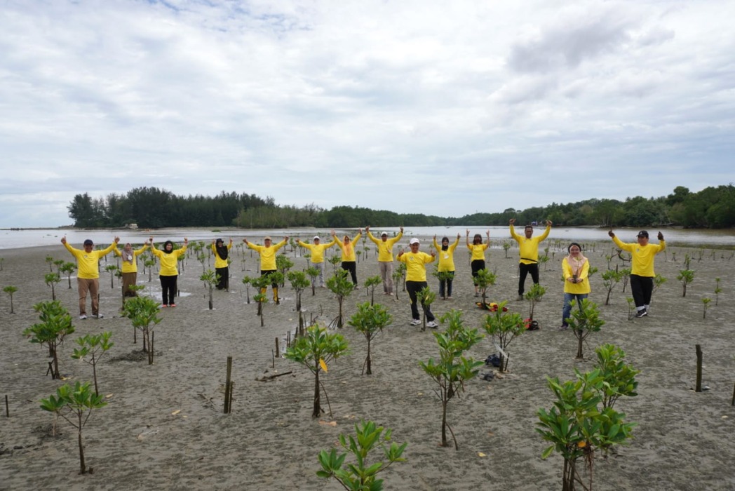 Hari Mangrove Internasional, Gubernur Rohidin Tanam 15 Ribu Bibit