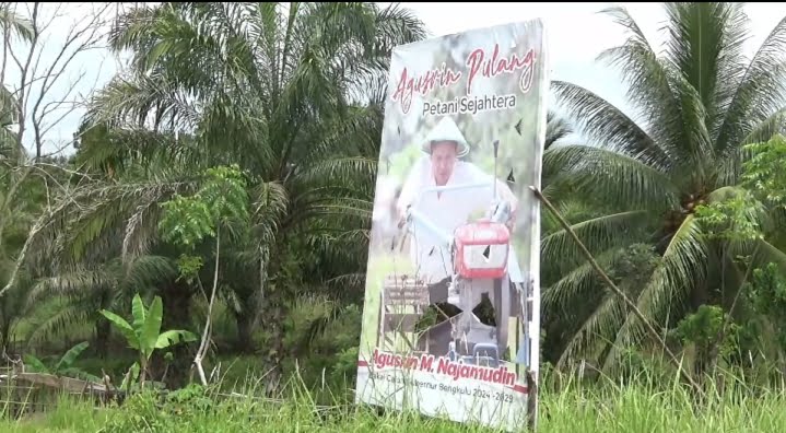 Baliho Para Bakal Calon Mulai Bertaburan di Kota Bengkulu