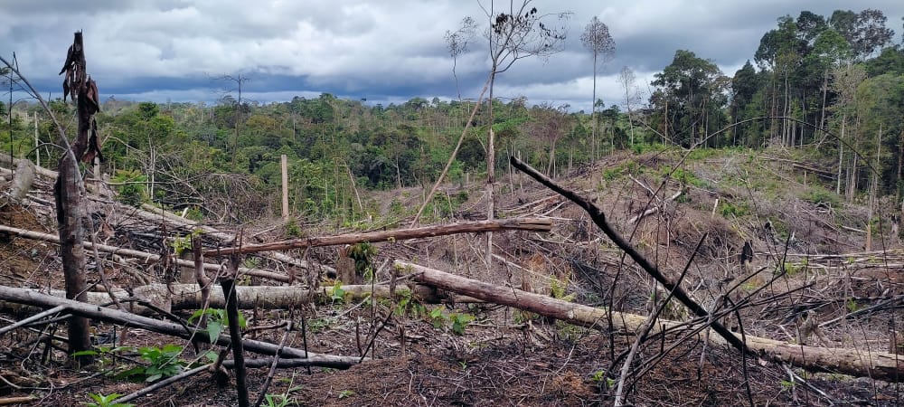 Kawasan Bentang Alam Seblat yang dirusak