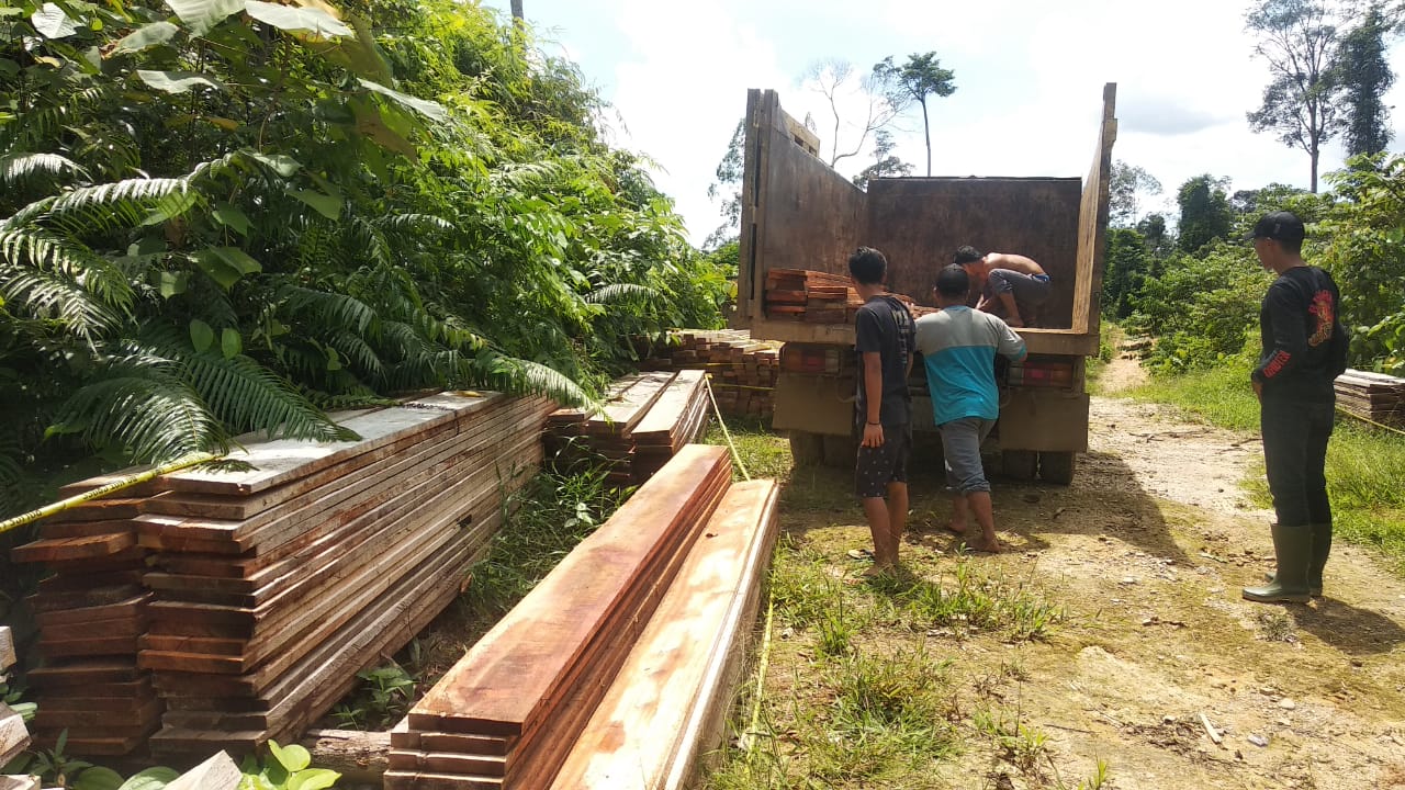 Penyitaan Kayu ilegal oleh Polres Mukomuko.