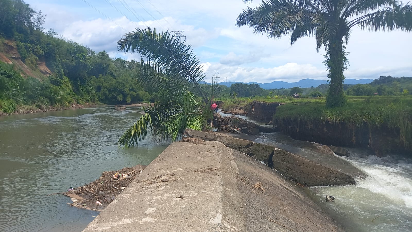 Bendungan Jebol, Areal Persawahan Padang Segarau Kekurangan Air