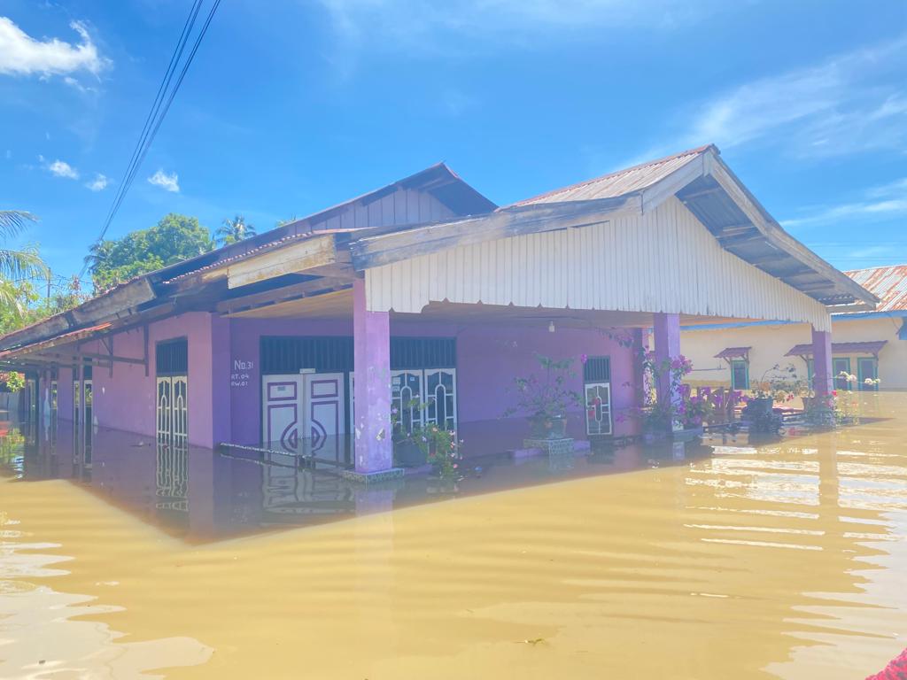 Pelepasan Kawasan Hutan di Bengkulu Picu Bencana Ekologis di Masa Depan