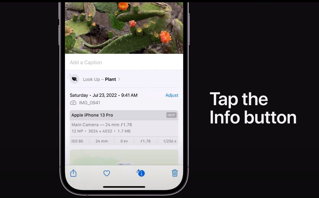 Visual Look Up Fitur Tersembunyi iPhone yang Tidak Banyak Diketahui
