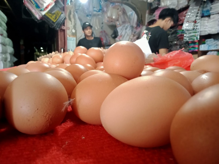 Pasca Idul Fitri, Harga Telur Ayam Ras Mulai Mengalami Kenaikan