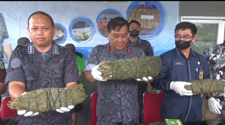BNNP Bengkulu Musnahkan Ganja 4 Kilogram