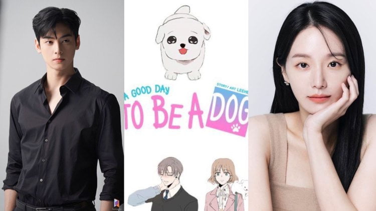 Sinopsis Drama Korea ‘A Good Day to Be a Dog’ Dijamin Bikin Baper