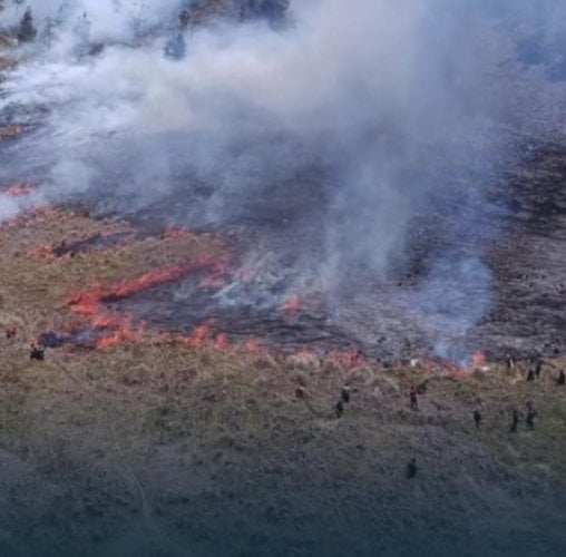 Apa Itu Flare? Penyebab Kebakaran di Bromo