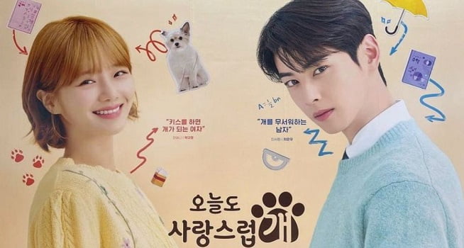 Sinopsis A Good Day To Be a Dog, Kutukan Menjadi Anjing