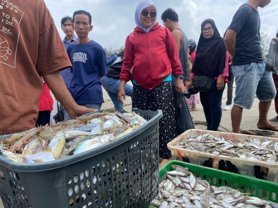 Ramai-ramai Warga Bengkulu Berburu Ikan Gratis dan Murah. Foto, Cindy/BN