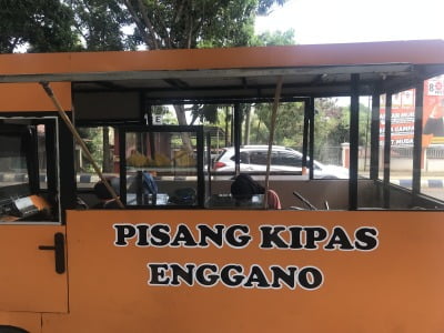 Nikmatnya Pisang Kipas Enggano, Dipetik Langsung dari Sumbernya