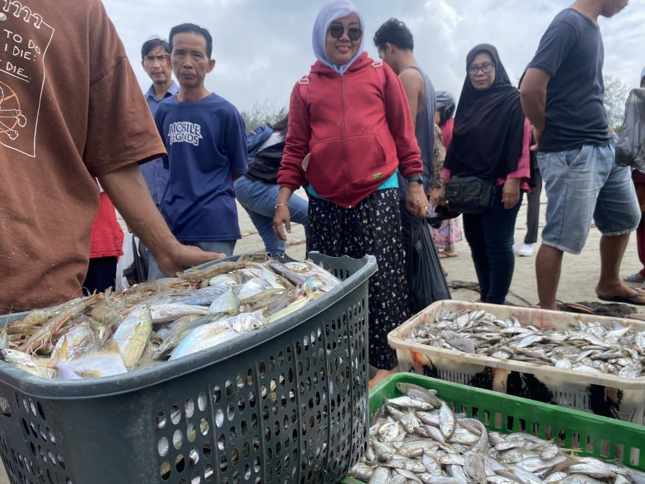 Ternyata Ini Penyebab Banjir Ikan di Kota Tua