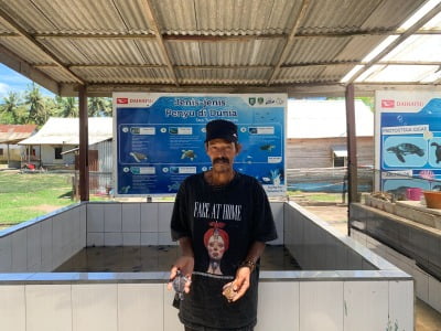 Rumah Penyu di Bengkulu Terancam Abrasi Pantai