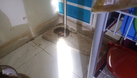 Kobra yang berhasil ditangkap petugas damkar. Foto, Kurniawan