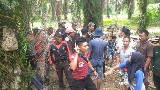 Petani Tanjung Sakti Gagalkan Upaya Perusakan Pondok oleh Oknum Petugas PT DDP