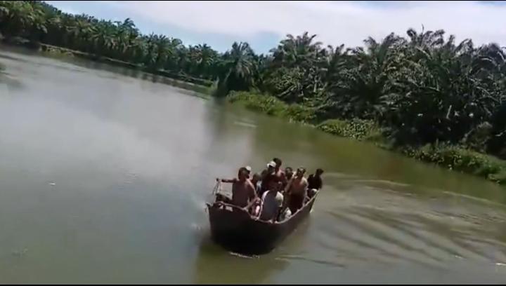 Kronologis Warga Mukomuko Diterkam Buaya saat Mencari Lokan