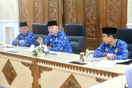 Gubernur Rohidin Mersyah