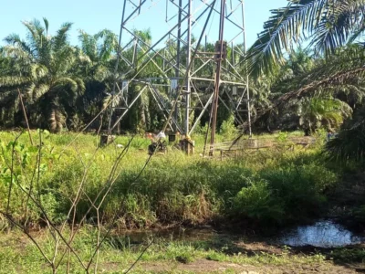 PT. TLB Abaikan Pengawasan Jaringan SUTT PLTU Batubara Teluk Sepang Bengkulu