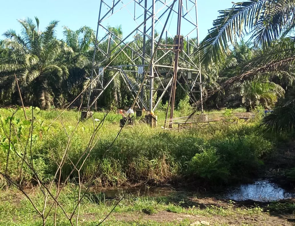 PT. TLB Abaikan Pengawasan Jaringan SUTT PLTU Batubara Teluk Sepang Bengkulu
