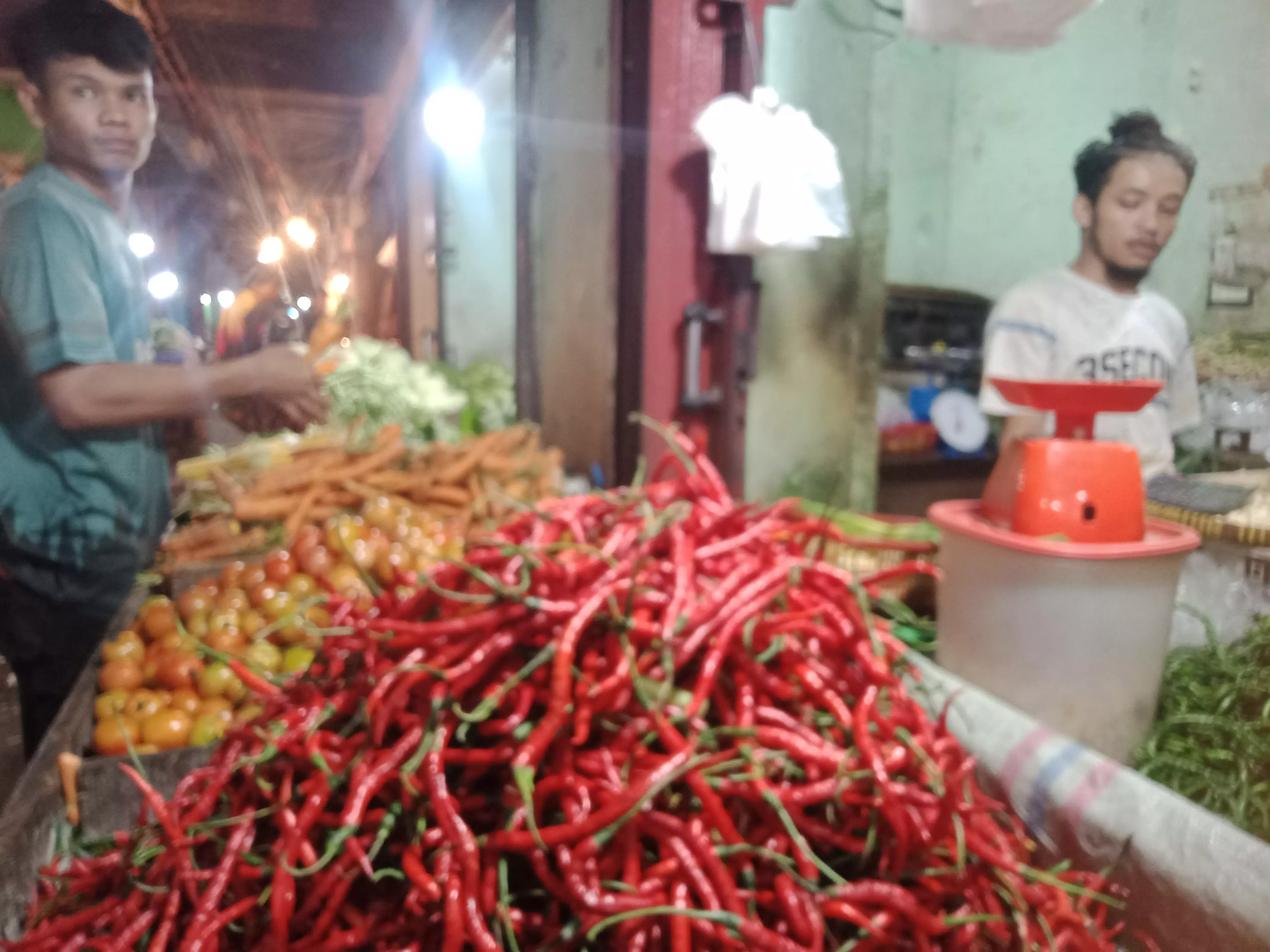 Seminggu Pasca Lebaran Sayuran Masih Mahal, Pemicunya Banyak Petani Lebih Mengandalkan Kopi