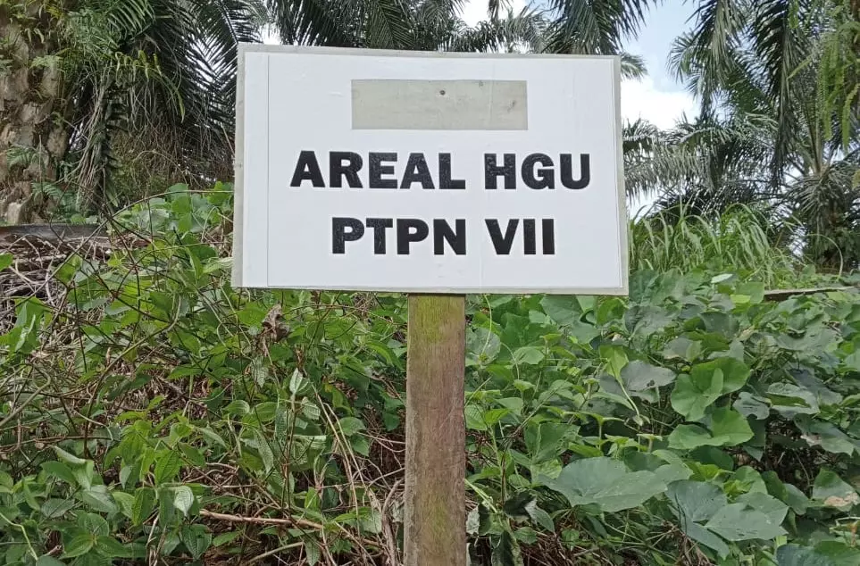 AMAN Tana Serawai Pilih Calon Ketua Baru