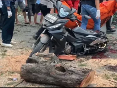 Pengendara Motor Tewas Usai Tertimpa Pohon Tumbang di Pantai Panjang