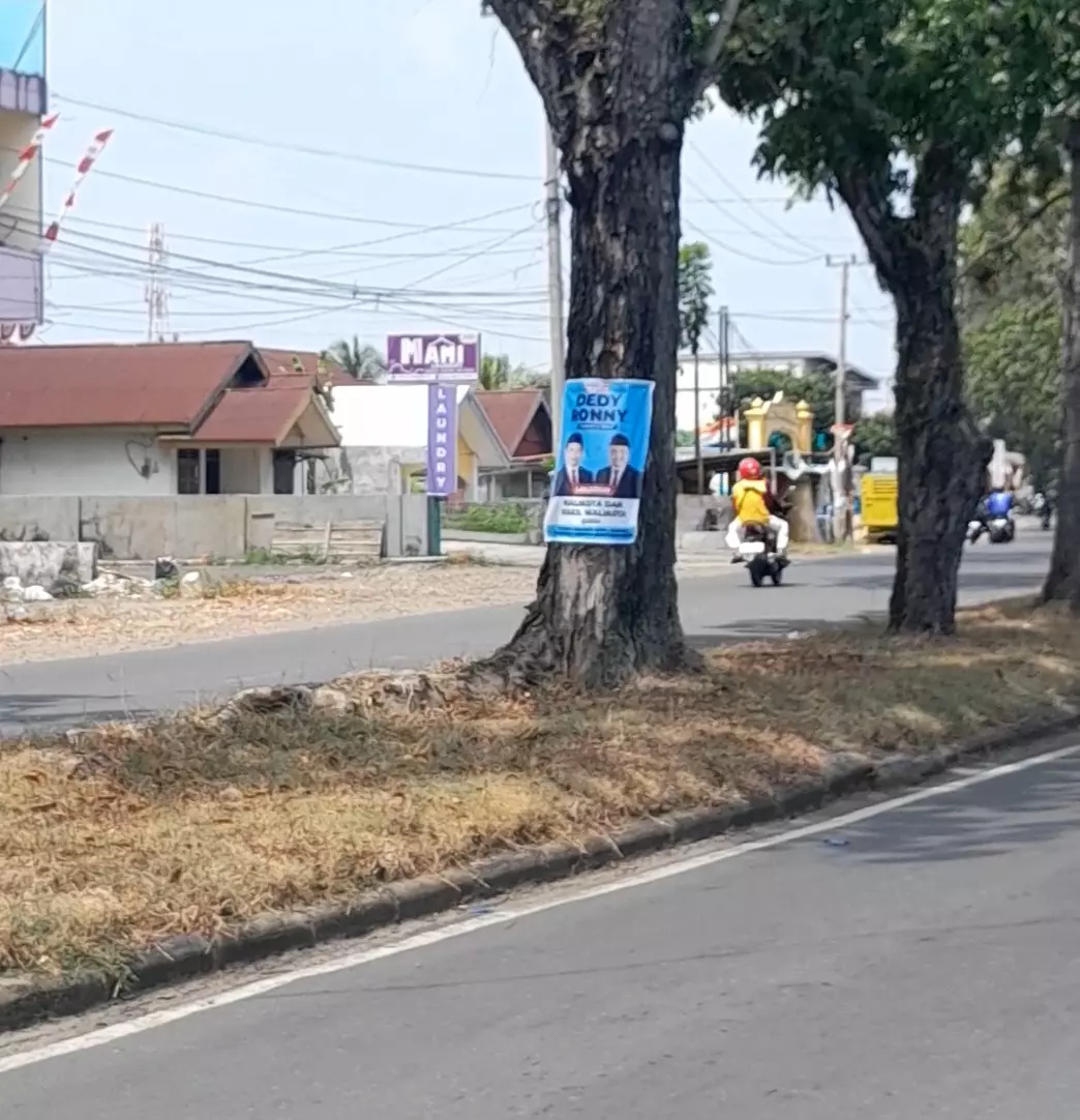 Aktivis Lingkungan Soroti Poster Calon Kepala Daerah di Pohon