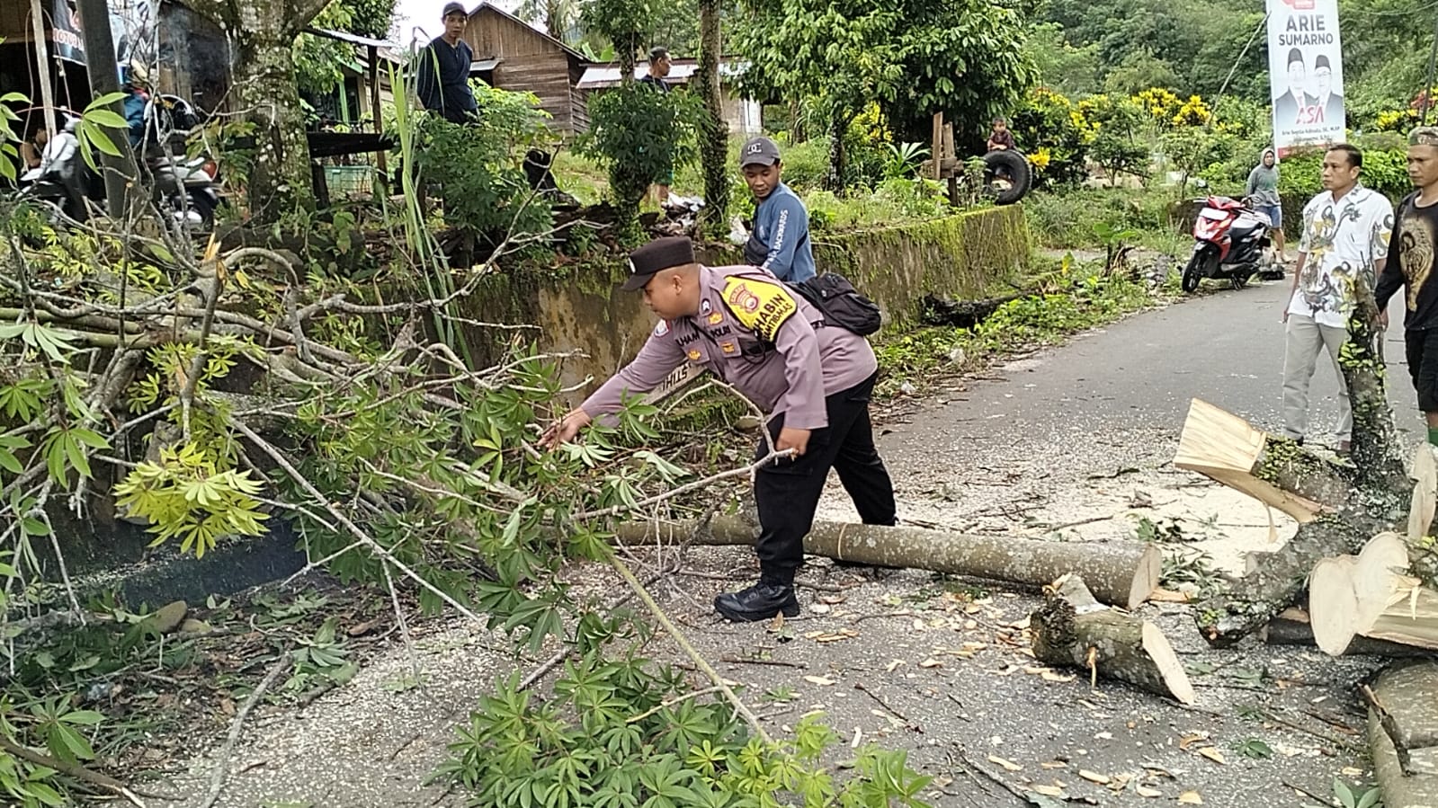 Pohon Tumbang Tutupi Jalan Lintas Bengkulu Utara Menuju Lebong