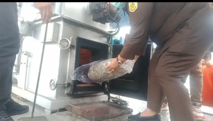 Pemusnahan Ganja