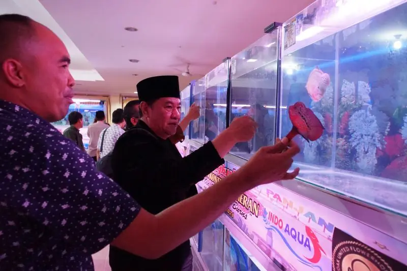 Plt Gubernur Bengkulu Buka Kontes Ikan Louhan