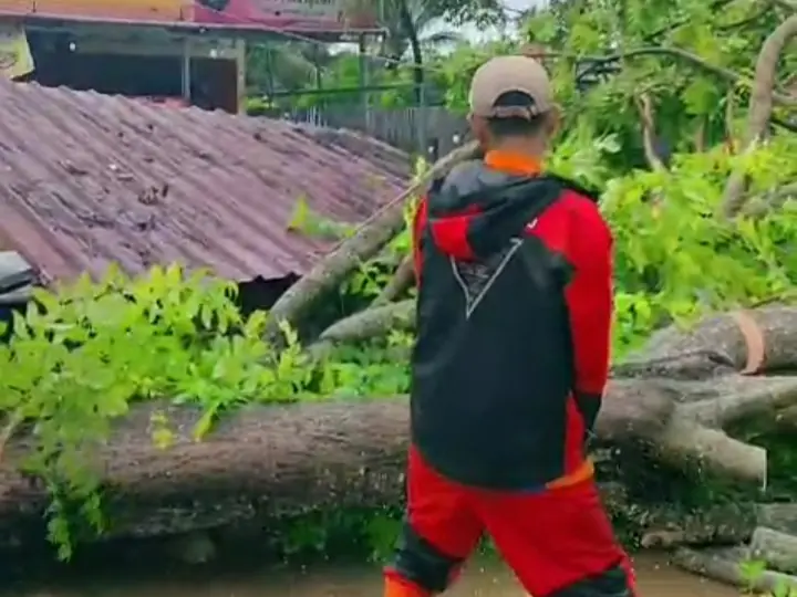 Cuaca Ekstrem, Banjir dan Pohon Tumbang Landa Kota Bengkulu, Hati-hati