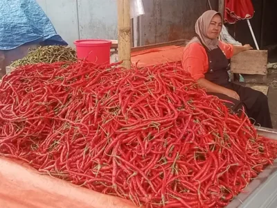 Perayaan Hari Besar Picu Harga Cabai Naik