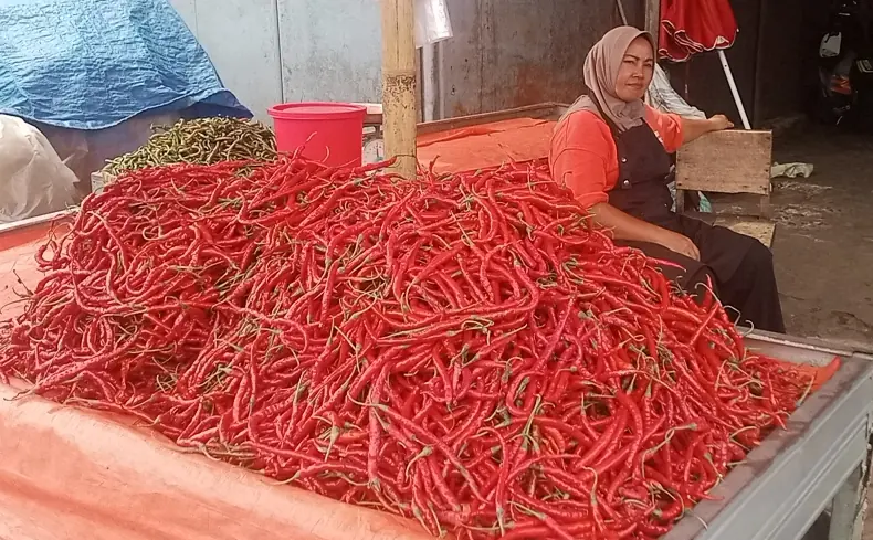 Perayaan Hari Besar Picu Harga Cabai Naik