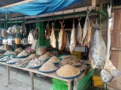 Cuaca Stabil, Harga Ikan Mulai Menurun