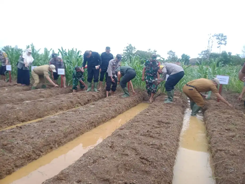 Polresta Bengkulu Sukseskan Program Nasional Penanaman 1 Juta Hektar Jagung