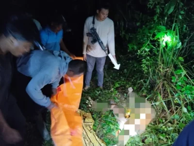 Warga Mukomuko Tewas Diterkam Harimau Sumatera