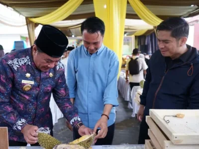 Pemerintah Provinsi Bengkulu Dorong Keunggulan Varietas Durian Lokal