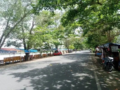 Pedagang di Kawasan Danau Dendam Takut Ancaman Pohon Mati