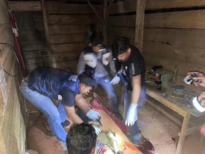 Pembunuhan Sadis di Bengkulu Utara: Petani Ditebas Golok, Pelaku Kabur dengan Truk Batubara!