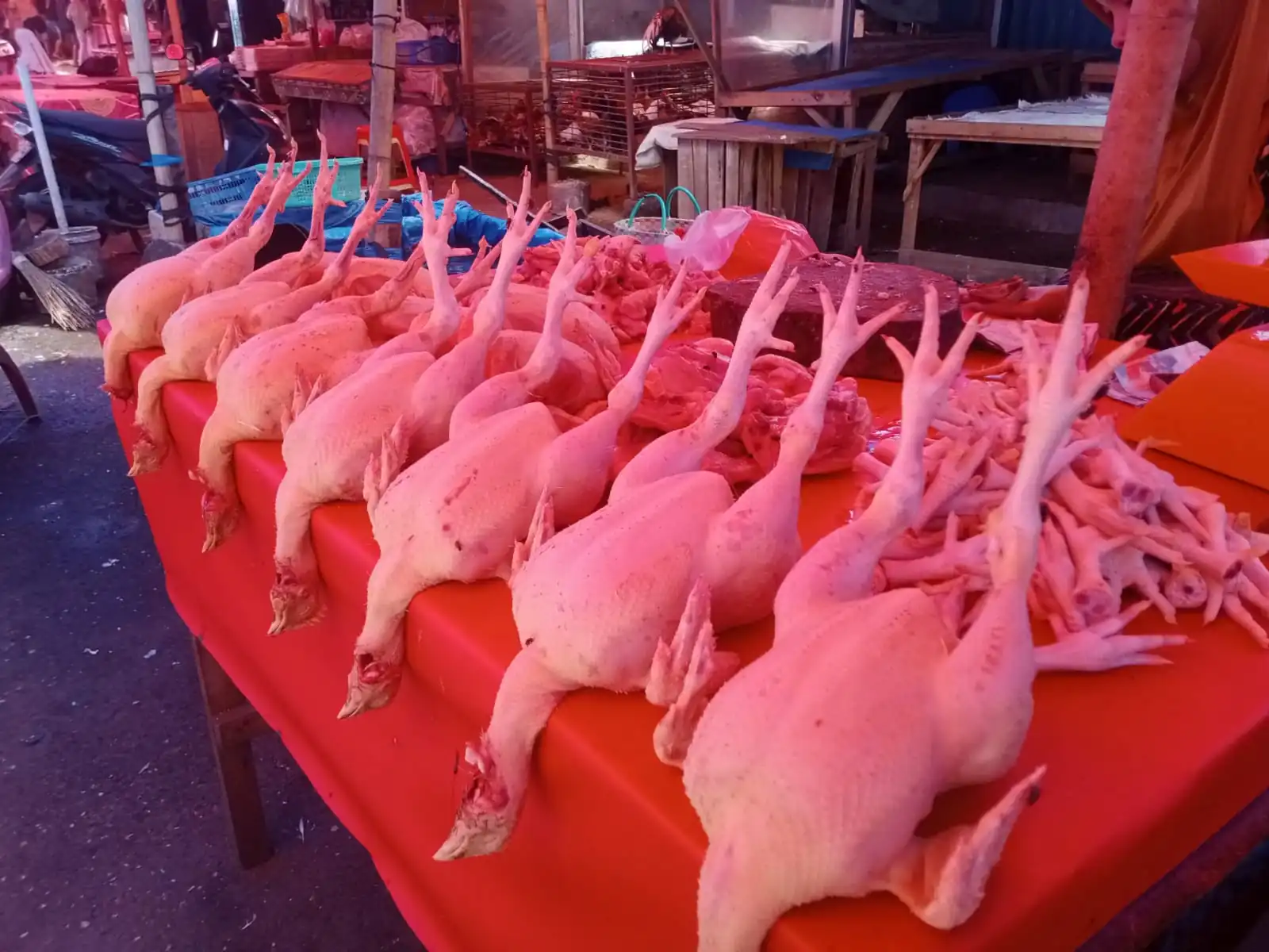 Jelang Ramadan, Harga Ayam Merangkak Naik