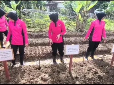 Panen Harapan: Bhayangkari Bengkulu Sulap Lahan Kosong Jadi Kebun Sayuran