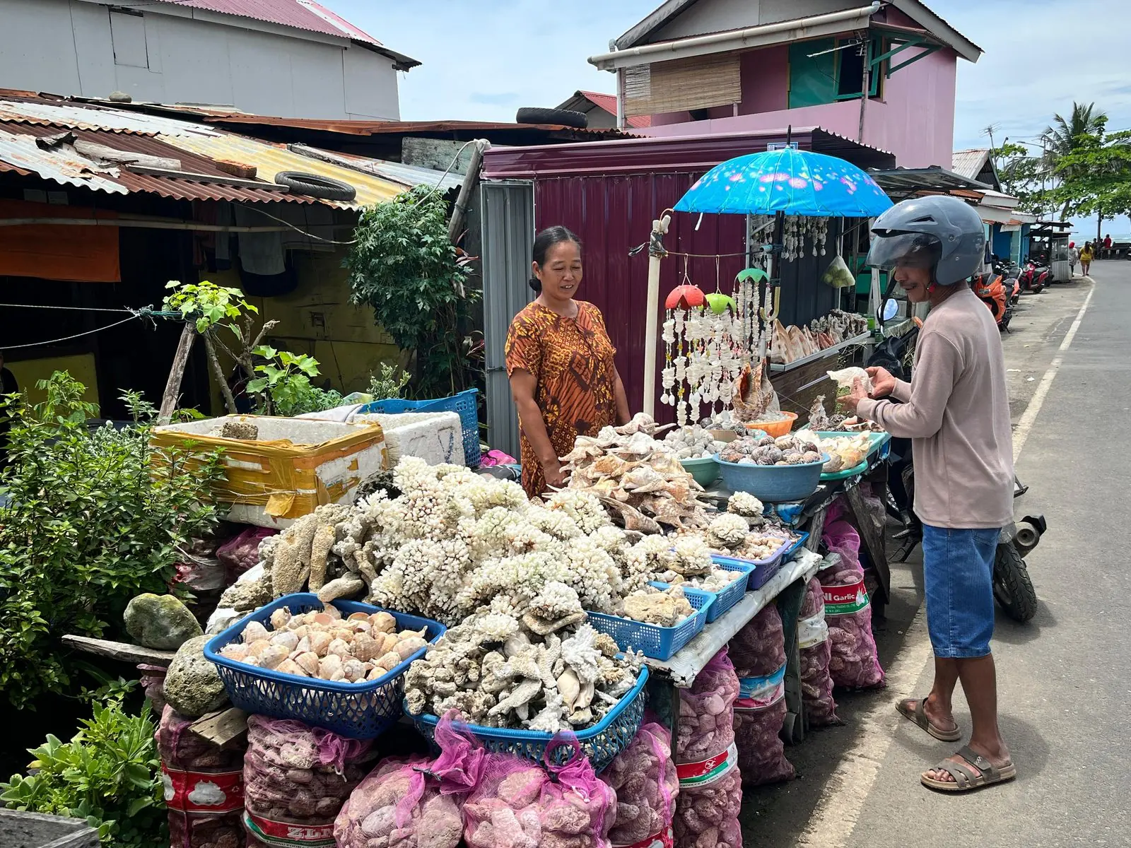 Perajin Kerang Bengkulu Bertahan di Tengah Lesunya Pasar, Harapkan Dukungan Pemerintah