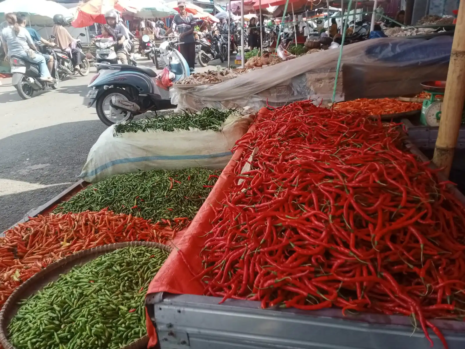 Harga Cabai Merah Mulai Menurun